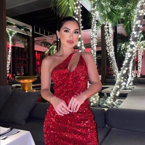 ZARA BLOGGER FAVORITE VELVET SEQUIN DRESS RED - Picture 1 of 13